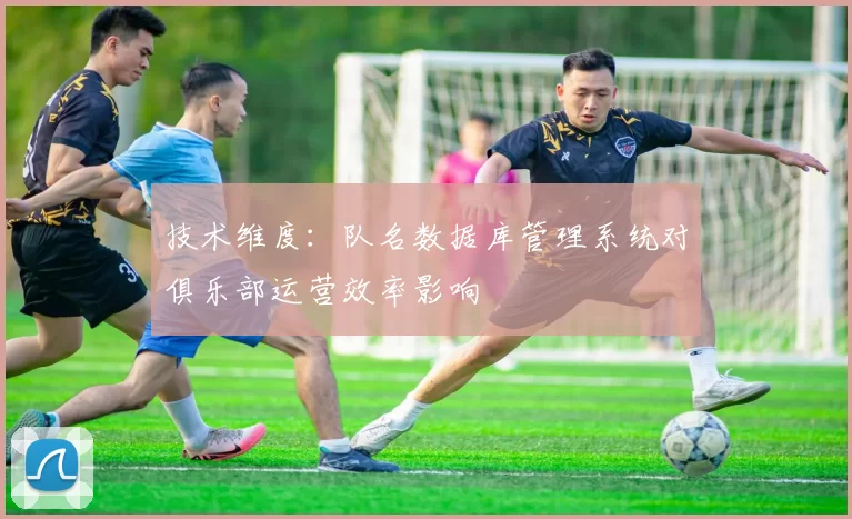 技术维度：队名数据库管理系统对俱乐部运营效率影响