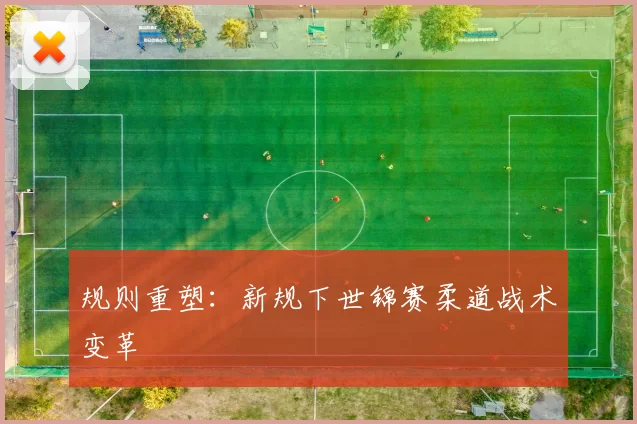 规则重塑：新规下世锦赛柔道战术变革