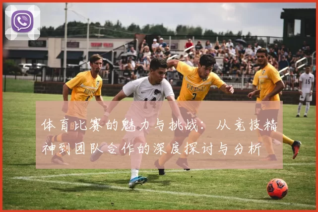 体育比赛的魅力与挑战：从竞技精神到团队合作的深度探讨与分析