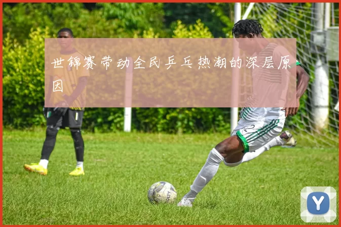 世锦赛带动全民乒乓热潮的深层原因