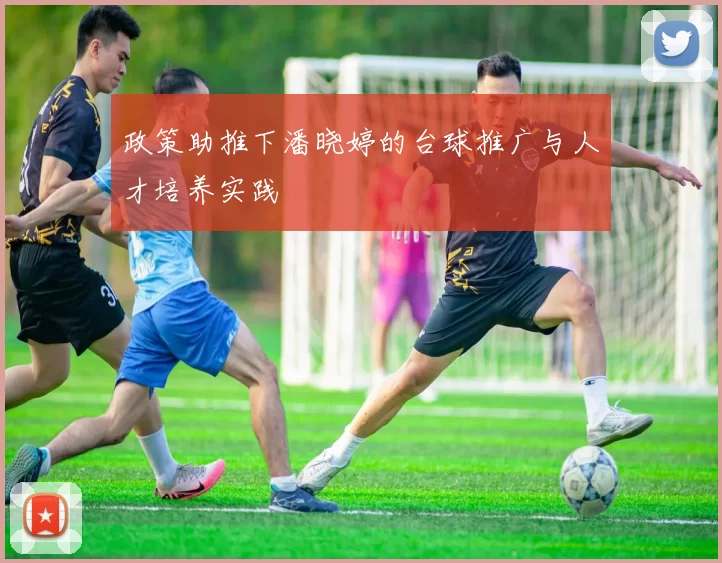 政策助推下潘晓婷的台球推广与人才培养实践
